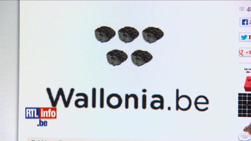 Logo Wallonia.be: L'opposition très critique