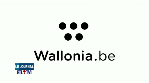 Le nouveau logo wallon va coûter encore 700.000 euros pour se faire connaître