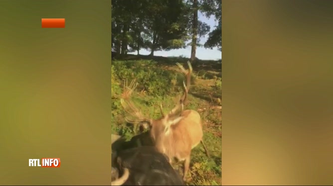 rencontre region malmedy