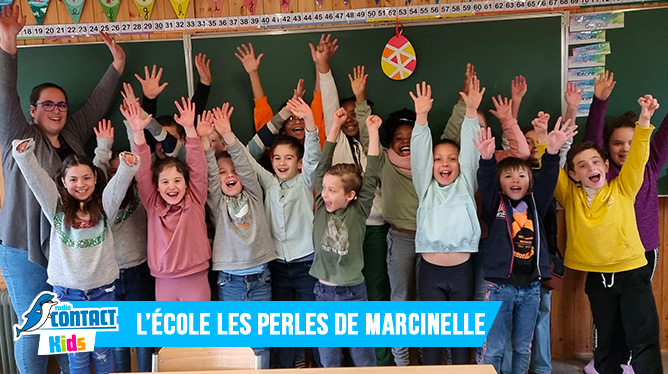 Contact Kids à l'Ecole Les Perles de Marcinelle